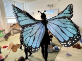 Dřípatka - výukový program - O motýlovi