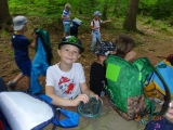 Výlet předškoláků : Z  Libínského Sedla  do Prachatic