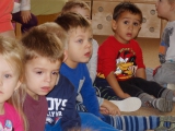 Tajemství dřeva