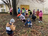 Skřítci podzimníčci čarovali s počasím a barvičkami ve 3. třídě