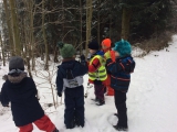 Děti z MŠ Krumlovské pomáhají ptáčkům - "Ptáčci v zimě"