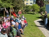 Dravci v MŠ