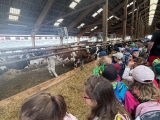 Návštěva zvířecí farmy Nebahovy - předškoláci