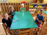 Výroba meduňkového sirupu - 3. třída
