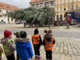 Příjezd vánočního stromu na náměstí 3. třída