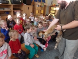 Jak se žije zvířátkům v lese