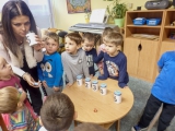 Tajemství dřeva