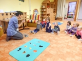 Tajemství dřeva