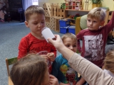 Tajemství dřeva
