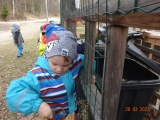 Výlet 3.třídy k Feferským rybníčkům